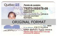 Quebec Driver License Format ID Cards Designs Templates Novelty Software Card Hologram id quebec canada