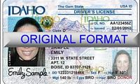 Idaho Fake ID
