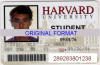 harvard university student id, student identification novelty id student international harvard university