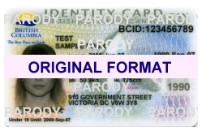 bcids fake id card british columbia fake identification