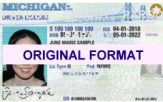 fake michigan scannable real id