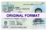 new brunswick scannable fake ids