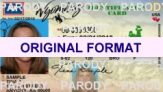 Fake ID Wyoming | Scannable Wyoming | Wyoming Photo ID Card Novelty ID