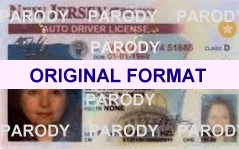 New Jersey Scannable Fake ID