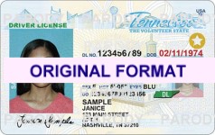Scannable Fake ID Tennessee Real ID