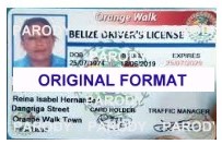 belize fake id real driver license fake