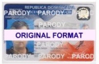 dominican republic fake id fake driver license with holograms