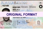 Fake id Alaska | Fake Drivers license fake id
