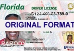 Florida Fake IDs | Fake ID Florida | Florida Id | Fake Identification Florida
