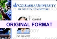 Columbia University Fake Student ID