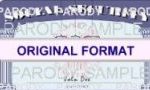Fake Social Security Card | Novelty SSN Card | Social Security Card Replacement | New Social Security Card | Novelty Social Security Card