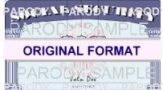 Fake Social Security Card | Novelty SSN Card | Social Security Card Replacement | New Social Security Card | Novelty Social Security Card